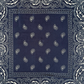 Foulard grand bandana / HACHIKO